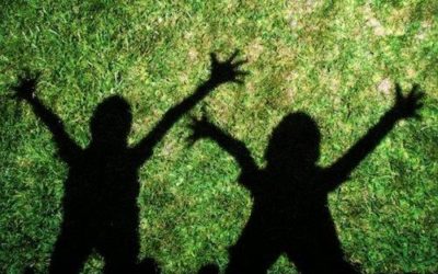 south facing backyard